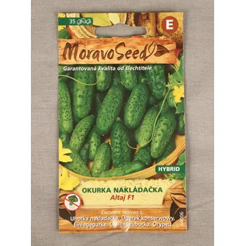 Semeno Okurka nakládačka hruboostná Altaj F1