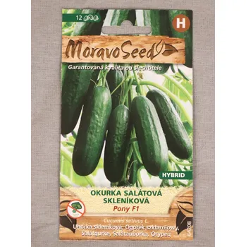 Semeno Okurka salátová skleníková Pony F1