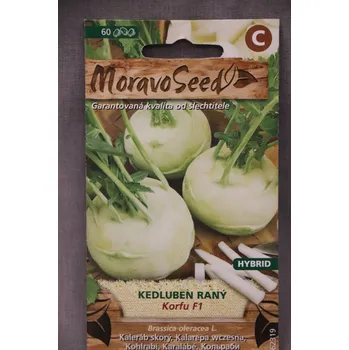 Semeno Kedluben raný bílý KORFU F1