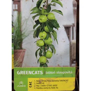 Sazenice Jabloň 'Greencats' - sloupovitá, kontej