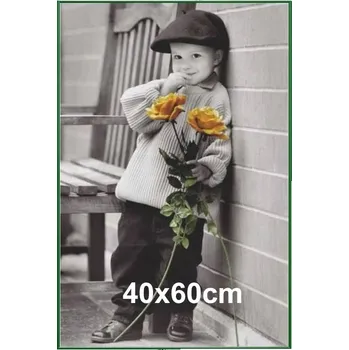 Obraz Hliníkový rám na fotku nebo plakát 40x60 cm, zelený