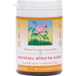 043 Procházka růžovým sadem