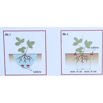 Hnojivo Silva Tabs Jahodník 1kg