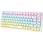 YENKEE YKB 31 ODYSSEY 45021094