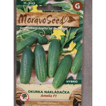 Semeno Okurka nakládačka jemnoostná AMELIA F1