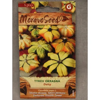 Semeno Tykev okrasná DAISY