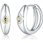 JVD Dámské stříbrné kruhové náušnice se zirkony SVLE0847SH2ZL00