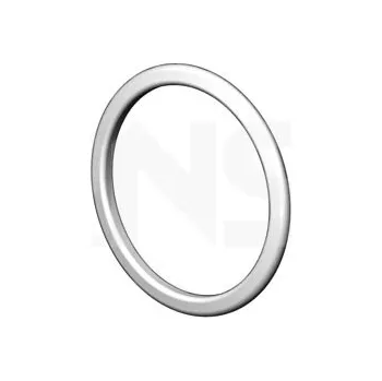 Auto-moto Těsnicí kroužek, výfuková trubka ERNST 499323