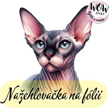 Nažehlovačky na fólii Nažehlovačka na fólii, KOČKA-SPHYNX, 14,3x11,4 cm /ks