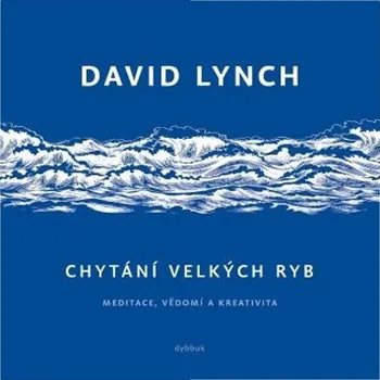 Chytání velkých ryb: Meditace, vědomí a…
