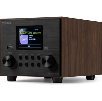 Radiopřijímač Audizio Vieste DAB+ Radio with subwoofer wood