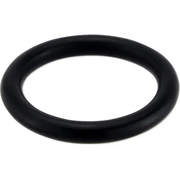 Fitinka GEBO O-kroužek 20 (134720)