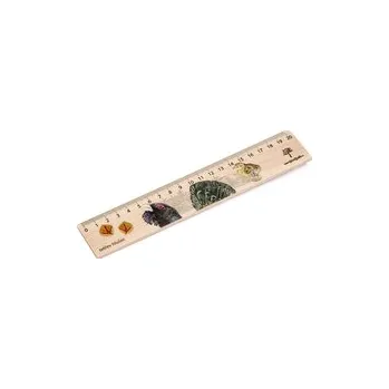 pravítka Lesní svět Dřevěné pravítko 20 cm - Tetřev hlušec