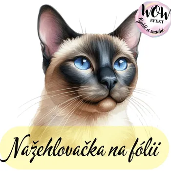 Nažehlovačky na fólii Nažehlovačka na fólii, SIAMSKÁ KOČKA, 15,5x14,6 cm /ks