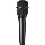 Audio-Technica AT2010