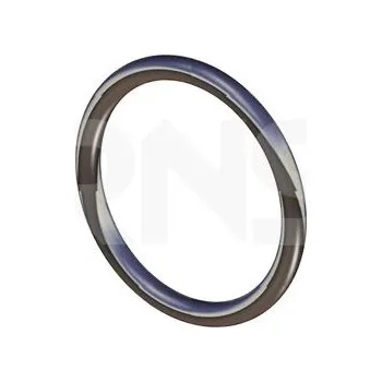 Těsnění výfuku Těsnicí kroužek, výfuková trubka ERNST 493178