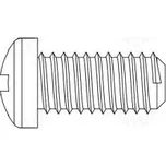 Šroub M4x30 Hlava válcová Phillips polyamid Norma ISO 7045