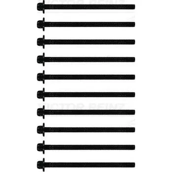 Spojovací materiál motoru Sada šroubů hlavy válce VICTOR REINZ 14-32132-01