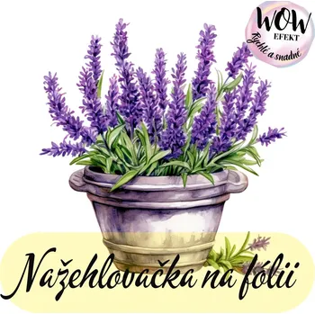 Nažehlovačky na fólii Nažehlovačka na fólii, LEVANDULE v květináči, 9,4x9,5 cm /ks