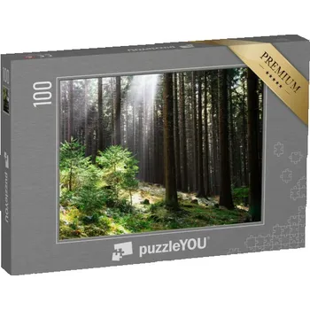 Puzzle puzzle 100 dílků „Les Krušné hory, Česká republika“