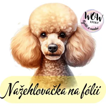 Nažehlovačky na fólii Nažehlovačka na fólii, PUDL, 7,9x7,8 cm /ks