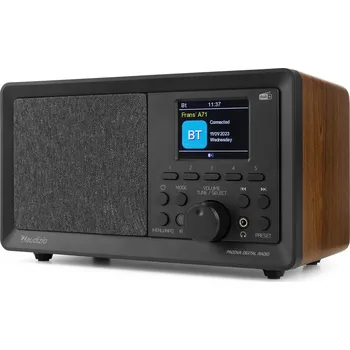 Radiopřijímač Audizio Padova DAB+ Radio Wood