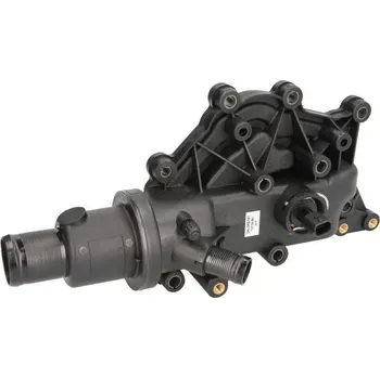 Termostat Renault