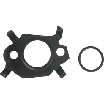 Těsnění EGR ventilu sada