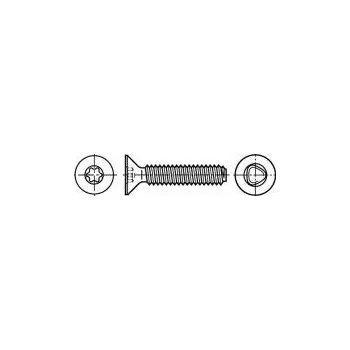 Vrut Vrut 4x8 Hlava kuželová Torx® TX20 ocel zinek Øhlavy 7,5mm