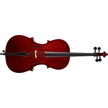 Smyčcový nástroj Soundsation PCE-14