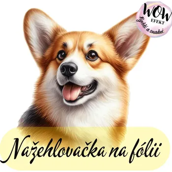 Nažehlovačky na fólii Nažehlovačka na fólii, CORGI, 9,5x10,3 cm /ks