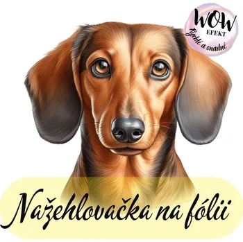 Nažehlovačky na fólii Nažehlovačka na fólii, JEZEVČÍK, 8,4x9,1 cm /ks