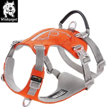 Postroj pro psa Prodloužený postroj pro psa, s kapsou -oranžový Velikost: XL