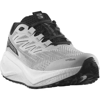 Dámská běžecká obuv Salomon Aero Blaze 3 Grvl W L47916000 - lunar rock/white/black 39 1/3