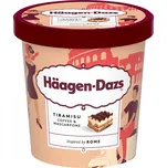 Häagen-Dazs Smetanová zmrzlina 420 ml