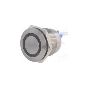 Switch Switch vandal resistant Pos 2 SPST-NO 0.05A/24VDC IP66 blue