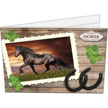 Desky na číslice 25 x 18 Horse