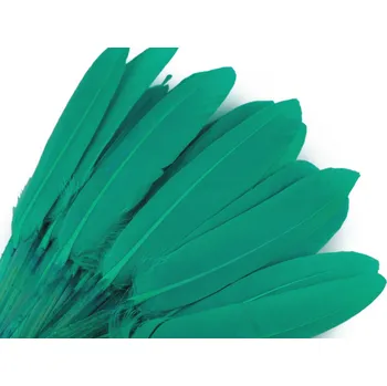 Kachní peří délka 9-14 cm tyrkys mořský 1 sáček