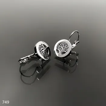 Náušnice Ocelové náušnice č. 749