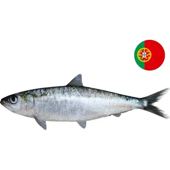 Maso a ryba Sardinka evropská celá vel. 8/15 - 1000g | BOXXI