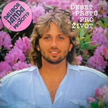 Česká hudba Dalibor Janda, Prototyp – Deset Prstů Pro Život 1988 VG+, VYPRANÁ Vinyl (LP)