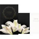 MFP M13-084 T kondolenční přání