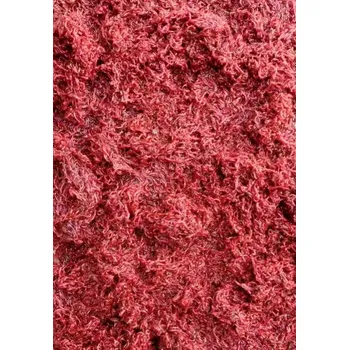 Krmivo pro rybičky PATENTKA ŽIVÁ MALÁ DO KRMENÍ (JOKERS)RUSKÁ 0,5KG (Patentka živá malá 0,5kg)