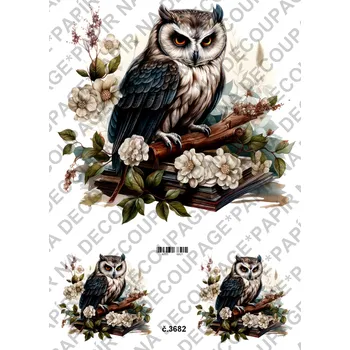 Umělecký papír Rýžový a soft papír na decoupage - Sova na knihách - KB03682 Materiál: Soft, Rozměr: A4
