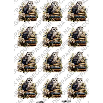 Umělecký papír Rýžový a soft papír na decoupage - Sova na knihách - KB03680 Materiál: Soft, Rozměr: A4
