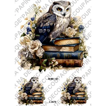 Umělecký papír Rýžový a soft papír na decoupage - Sova na knihách - KB03678 Materiál: Soft, Rozměr: A4