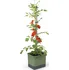 Květináč Gusta Garden Tom Tomato 103610 34,7 cm