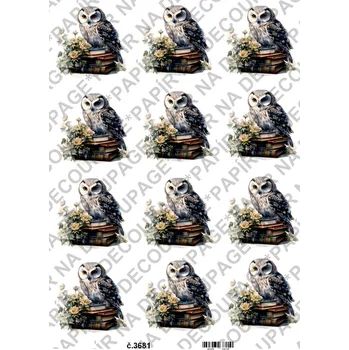 Umělecký papír Rýžový a soft papír na decoupage - Sova na knihách - KB03681 Materiál: Soft, Rozměr: A4