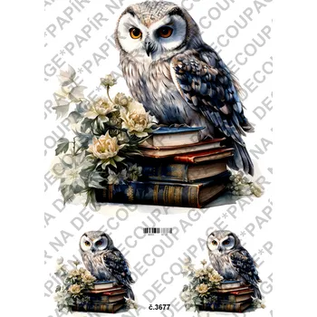 Umělecký papír Rýžový a soft papír na decoupage - Sova na knihách - KB03677 Materiál: Rýžový papír, Rozměr: A4