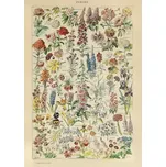 Piatnik Puzzle Millot - Květiny 1000d